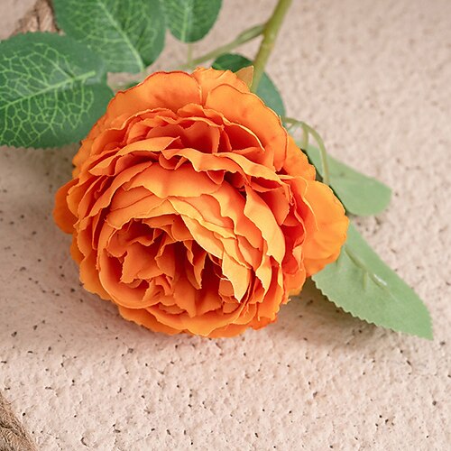 5 Stück Western Rose Kern Pfingstrose Einzelkopf Simulation Blume Wohnkultur Hochzeit Tragbare Blume Künstliche Blume Weihnachtsgeschenk Image