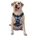 Coaee Blueberry Dog Harness&Pet Leash Harness Adjustable Dog Vest Harness For Training Hunting Walking Outdoor Walking- X-Large