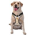 Coaee Cute Bee Gnome Dog Harness&Pet Leash Harness Adjustable Dog Vest Harness For Training Hunting Walking Outdoor Walking- Small