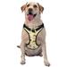 Coaee Watercolor Bee Honey Honeycomb Bee Dog Harness&Pet Leash Harness Adjustable Dog Vest Harness For Training Hunting Walking Outdoor Walking- Large
