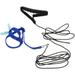 Parrot Flying Leash Rope Elasticity Wing Accessories for Birds Agapornis Traction