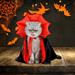 Cleaning Supplies Clearance Sale Halloween Pet Clothes Cats Spooky Costumes Cats Cape Pet Party Vampires Crossdressing Halloween Pet Cats Dogs Dogs Cape Decoration Transforming Witch Clothe