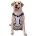 Coaee Purple Butterfly Dog Harness&Pet Leash Harness Adjustable Dog Vest Harness For Training Hunting Walking Outdoor Walking- Large