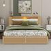 Ivy Bronx Leiha Queen Upholstered Modern Bed w/ Hydraulic Storage System, Motion Activated Night Lights Upholstered in Brown | Wayfair