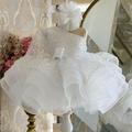 Kids Girls' Party Dress Solid Color 3/4 Length Sleeve Performance Wedding Mesh Princess Sweet Mesh Mid-Calf Sheath Dress Tulle Dress Flower Girl's Dress Summer Spring Fall 2-12 Years White Pink