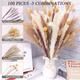 Small Reed Dried Flower Bouquet Small Dust Brush Small Reed Grass Reed Dried Flower Rabbit Tail Grass Yunnan