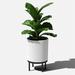 Veradek Mason Series Planter w/ Stand Plastic/Stone in White/Black | 22 H x 15 W x 15 D in | Wayfair DMSTV16WBL