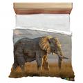 VisionBedding Stone elephant Bedding Animal Comforter Majestic stance in Brown/Gray | Twin Extra Long Comforter | Wayfair VB-CO2-131-94184-12131