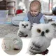 Interactive Pet Toy And Toy Doll Children’s Cute Plush Decoration Toy Animal Simulation Owl Lifelike