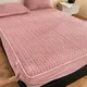 Winter warm quilted single-piece thick velvet mattress protector cover three-piece set