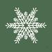 The Holiday Aisle® Holiday Ride Snowflake I Paper in Green/White | 30" H x 30" W | Wayfair 4443202134E94796AC5FE4C7C605E797