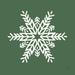 The Holiday Aisle® Holiday Ride Snowflake I Paper in Green/White | 20" H x 20" W | Wayfair 82A3F663F5AC4FDABC8517F26449D21D