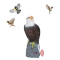 Fake Realistic Bird Scarer Plastic Eagle Falcon Decoy Scarecrow for Garden Yard Bird Outdoor Control