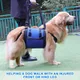 Portable Dog Sling for Back Legs Hip Support Harness Older Limping Canine Aid Dog Assist