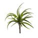 Silk Plant Nearly Natural 8 Air Plant Artificial Succulent (Set of 12)