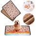 Brother Teddy Pet Cooling Pad Cute Pattern Ice Silk Two-Sided Washable Non-Toxic Summer Pet Outdoor Bed for Puppy and Kitten Comfortable Pet Cooling Mat for Cats and Dogs Khaki 21.65 X29.52