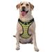 Junzan Mardi Gras Purple Yellow Plaid Pattern Dog Harness - Lightweight Soft Adjustable Small Harness And Leash Set-Medium