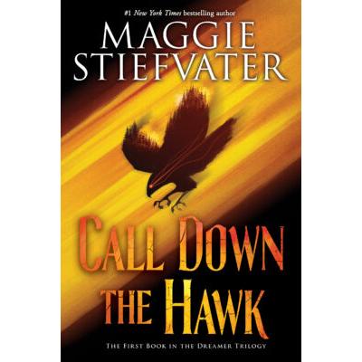 Call Down the Hawk (paperback) - by Maggie Stiefvater