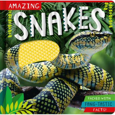 Amazing Snakes (Hardcover) - Naomi Churn