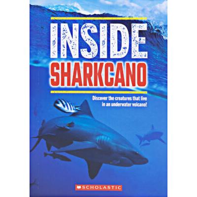 Inside Sharkcano Activity Kit