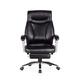 SHERAF Ergonomic Mid-Back Computer Executive Office Chair with Padded Armrests Adjustable Seat Height lofty ambition