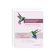 Sing Praises Hummingbird Card, Colossians 316, Blank Stationery