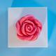 Rose Candle/Adorable Flower Candles Cute Gift Ideas
