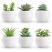 Wrought Studio™ Kael Succulents Plants Artificial In Pots Cloche Or Water Globe in Green | 3.14 H x 2.3 W x 2.3 D in | Wayfair