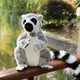 Simulation Wild Lemur Plush Toys Kawaii Stuffed Animals Soft Realistic Monkey Plushies Doll