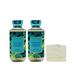 Bath & Body Works Thailand Sweet Kiwi & Starfruit - Pack of Two - Body Wash With a Natural Oats Sample Soap