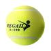 YIQH Tennis Ball Tennis 6.4CM For Dogs Bite Chase Tennis Tennis Balls Training