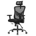 Drevy Ergonomic Office Chair Desk Chair with 2 Adjustable Lumbar Support Headrest 2D Armrest Office Chair Backrest 135Â° Rocking Relaxation Computer Chair for Home Office