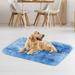 Brother Teddy Dog Bed Blankets Solid Color Pet Beds Washable-Rectangle Pet Autumn Winter Warming Beds Soft Fluffy Warm and Cozy 29.5 X39.3 Dark Blue