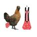 Isvgxsz Easter Gifts Deals Clearance 3 Sizes Farm Pet Chicken Poultry Cloth Diaper New Arrivals