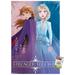 Disney Frozen 2 - Sisters Wall Poster with Push Pins 22.375 x 34