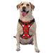 Bingfone White And Green Polka Dot No Pull Dog Vest Harness For Small Medium Large Dogs Strap For Puppy Walking Training Dog Harness-Medium