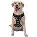 Junzan Mardi Gras Fleur De Lis Pattern Dog Harness - Lightweight Soft Adjustable Small Harness And Leash Set-Large