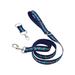 Disney Dog | Disney Parks Mickey Mouse And Friends Pet Dog Lead Leash - Small Dog Xs/S | Color: Blue | Size: 72”