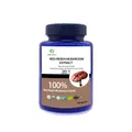 Natural Red Reishi Mushroom Extract capsules 100% Red Reishi Mushroom Extract 20:1 Lucid ganoderma