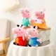 19cm Peppa Pig Plush Toys Soft Pigs Plushs Cartoon Anime Figure George Peppapig Dolls Stuffed Toy