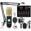 Podcast Equipment Bundle BM-800 Recording Studio-Paket mit Voice Changer