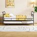 Winston Porter Robia Metal Daybed Bed in Black | 34.1 H x 82.4 W x 56.2 D in | Wayfair 2181D540128A4EB69B1FC3C7864ACB80