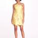 Marchesa Notte Embroidered Tulip Mini Dress - Lemon - Yellow - 4