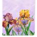 Caroline's Treasures 28 x 40 in. Polyester Purple and Yellow Iris Flag Canvas House Size 2-Sided Heavyweight