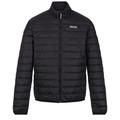 Regatta Mens Hillpack Quilted Insulated Jacket - Black - Black - 3XL