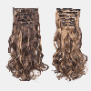 Vigor Long Curly Wavy Hair 16 Clip In Hair Extension - STYLE: #C