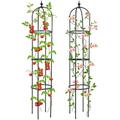 2 Paquet Treillis Plante Grimpante Extérieur, Support de Plante de Jardin, Grande Tour, Cages de