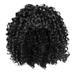 Apepal Home Decor Women s Short Curly Hair Wigs Explosive- Head Wigs European And American Wigs Short Curly Hair Wigs Small Curly Hair Rose Net Chemical Fiber Headgear Black One Size