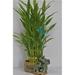3 Layers Tower Lucky Bamboo with Elephant Set Ceramic Pot