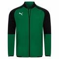 PUMA Ascension Herren Stadion Jacke 654923-05